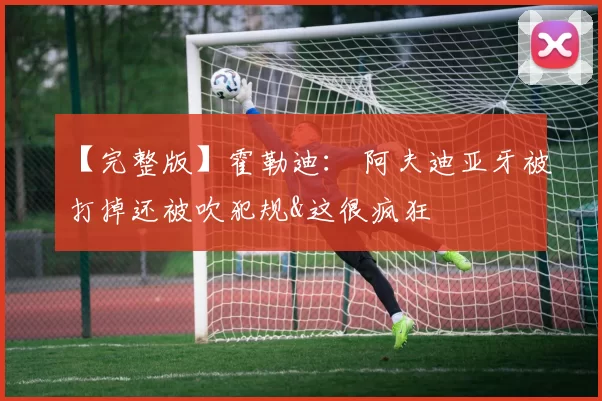 【完整版】霍勒迪： 阿夫迪亚牙被打掉还被吹犯规&这很疯狂