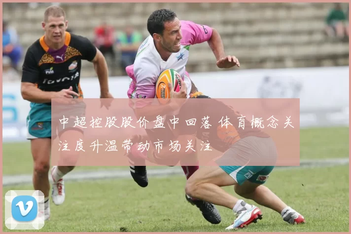 中超控股股价盘中回落 体育概念关注度升温带动市场关注