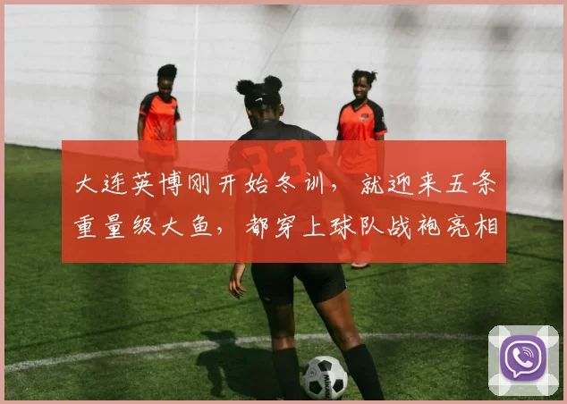 大连英博刚开始冬训，就迎来五条重量级大鱼，都穿上球队战袍亮相