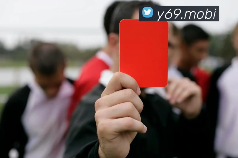 开云官方网页版登录发展历程